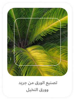 study image